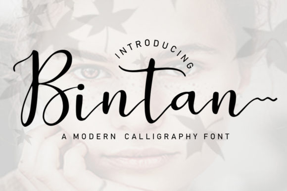 Bintan Script Typeface for Modern Web Design