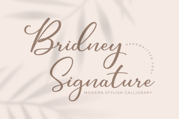 Bridney Signature: The Enchanting Handwritten Font for Romantic Brand Identity