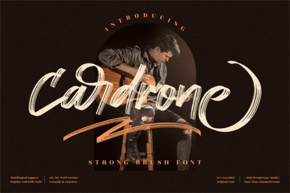 Cardrone Brushed Script Font for Modern Web Design