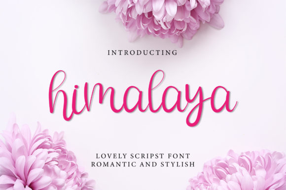 Himalya Script Font for Elegant Web Design