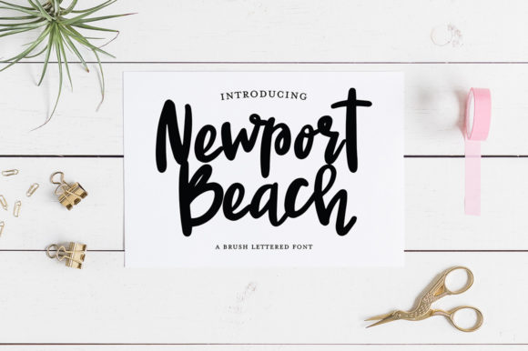 Newport Beach: The Flexible Script Handwritten Font for Modern Branding