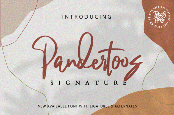 Pandertoos: The Elegant Script Font for Boutique Branding