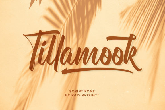 Tillamook Brushed Script Font for Elegant Branding