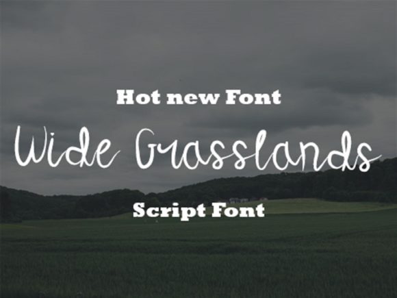 Wide Grasslands Script Font for Elegant Crafts